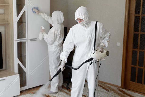 24/7 Emergency Odor Removal experts in Montclair, CA