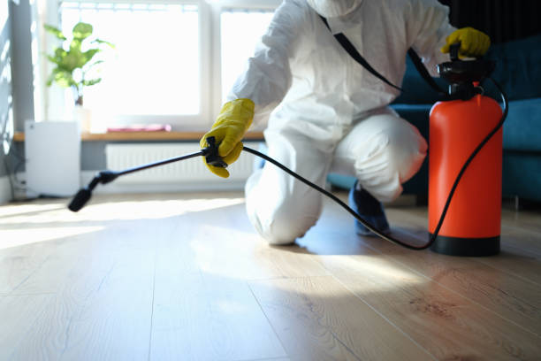 Reliable Odor Removal contractor in Montclair, CA by Dulley Family Biohazard Services